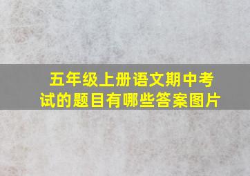 五年级上册语文期中考试的题目有哪些答案图片