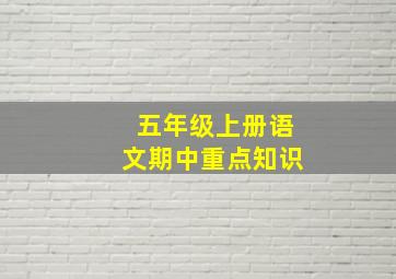 五年级上册语文期中重点知识