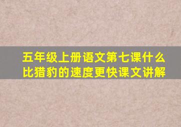 五年级上册语文第七课什么比猎豹的速度更快课文讲解