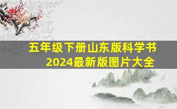 五年级下册山东版科学书2024最新版图片大全