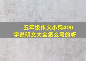 五年级作文小狗400字说明文大全怎么写的呀