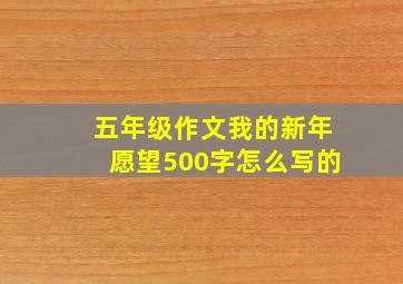 五年级作文我的新年愿望500字怎么写的