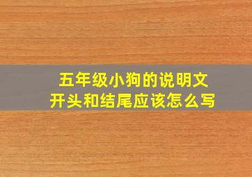 五年级小狗的说明文开头和结尾应该怎么写