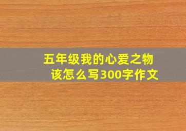 五年级我的心爱之物该怎么写300字作文