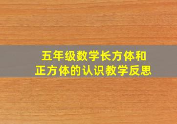 五年级数学长方体和正方体的认识教学反思