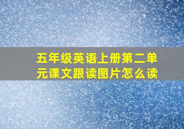 五年级英语上册第二单元课文跟读图片怎么读