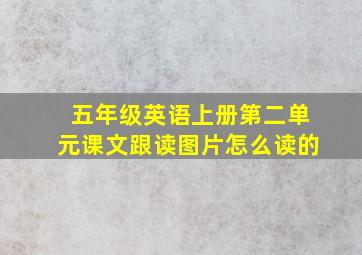 五年级英语上册第二单元课文跟读图片怎么读的