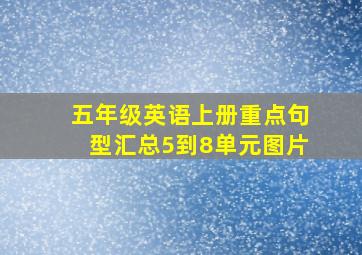 五年级英语上册重点句型汇总5到8单元图片