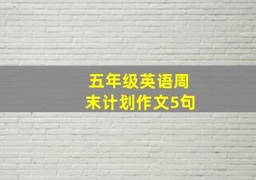 五年级英语周末计划作文5句