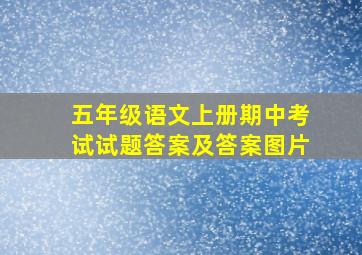 五年级语文上册期中考试试题答案及答案图片