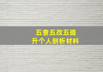 五查五改五提升个人剖析材料