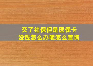 交了社保但是医保卡没钱怎么办呢怎么查询