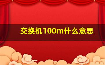 交换机100m什么意思