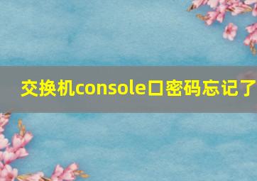 交换机console口密码忘记了