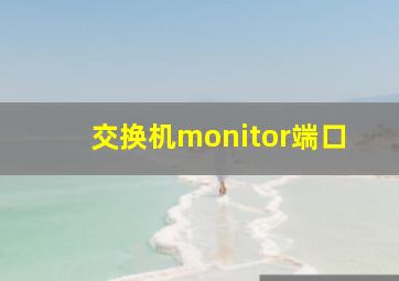 交换机monitor端口