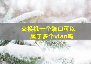 交换机一个端口可以属于多个vlan吗