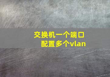 交换机一个端口配置多个vlan