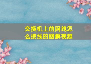 交换机上的网线怎么接线的图解视频