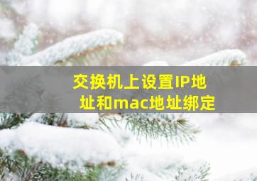 交换机上设置IP地址和mac地址绑定