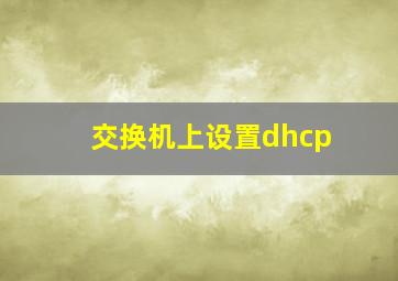 交换机上设置dhcp