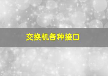 交换机各种接口