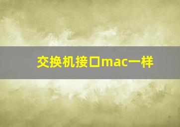 交换机接口mac一样