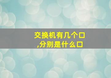 交换机有几个口,分别是什么口