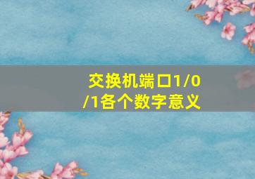 交换机端口1/0/1各个数字意义