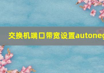 交换机端口带宽设置autoneg