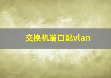 交换机端口配vlan