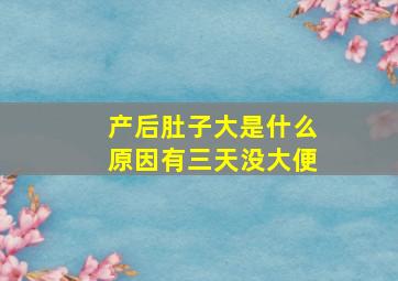 产后肚子大是什么原因有三天没大便