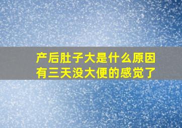 产后肚子大是什么原因有三天没大便的感觉了