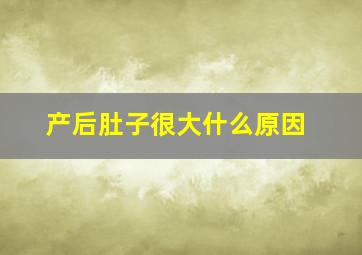 产后肚子很大什么原因