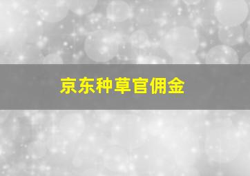 京东种草官佣金