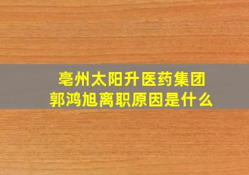 亳州太阳升医药集团郭鸿旭离职原因是什么