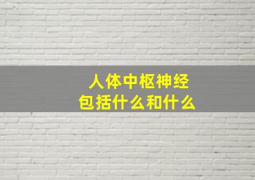 人体中枢神经包括什么和什么