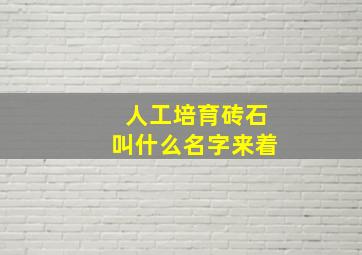 人工培育砖石叫什么名字来着