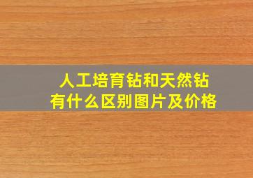 人工培育钻和天然钻有什么区别图片及价格