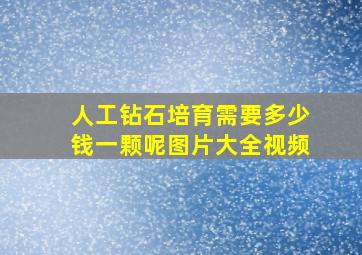 人工钻石培育需要多少钱一颗呢图片大全视频