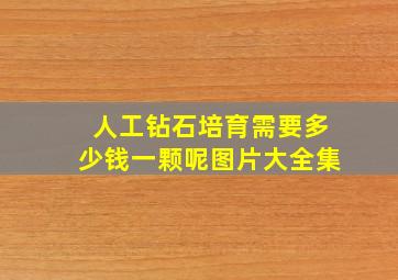 人工钻石培育需要多少钱一颗呢图片大全集