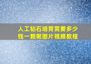 人工钻石培育需要多少钱一颗呢图片视频教程