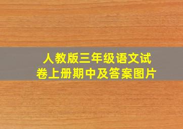 人教版三年级语文试卷上册期中及答案图片