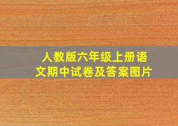 人教版六年级上册语文期中试卷及答案图片