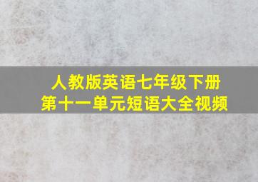 人教版英语七年级下册第十一单元短语大全视频