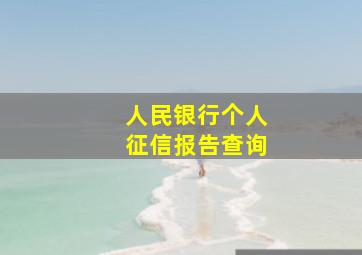 人民银行个人征信报告查询