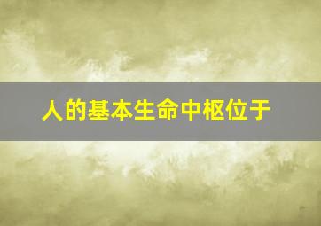 人的基本生命中枢位于