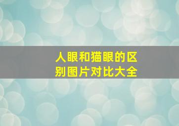 人眼和猫眼的区别图片对比大全