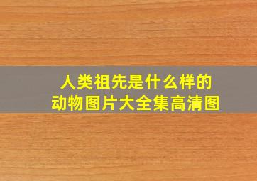 人类祖先是什么样的动物图片大全集高清图