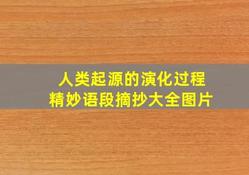 人类起源的演化过程精妙语段摘抄大全图片