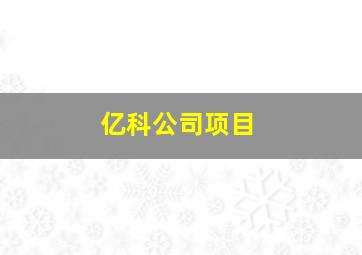 亿科公司项目